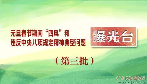 元旦春节期间“四风”和违反中央八项规定精神典型问题曝光台(第三批)